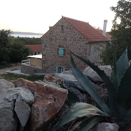 Martin House سيلين