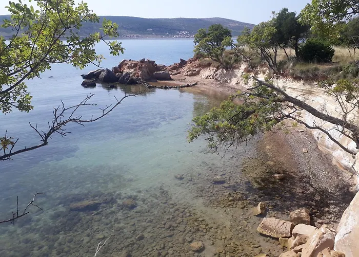 Martin House Селине